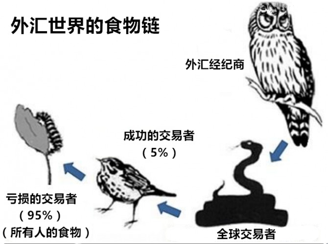 六张图让你看清外汇交易的真相(图4)