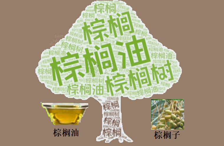 棕榈油反弹至四周高位 原油豆油联动走强